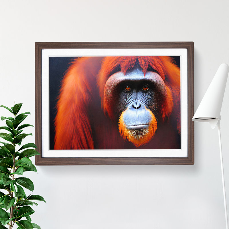 Enviable Orangutan - Single Picture Frame Print, 34cm H x 46cm W x 2cm D, Walnut