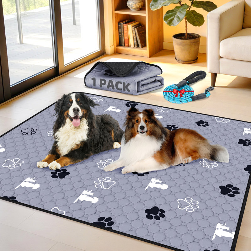 Coussinets de peluche lavables pour chiens, tapis de dressage pour animaux 72 po x 72 po avec laisse pour chien de L 60 po