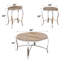 Bohden 3-Piece Coffee Table Set in Weathered Oak and Chrome-20267784