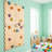 Funphix Indoor Rock Climbing Wall