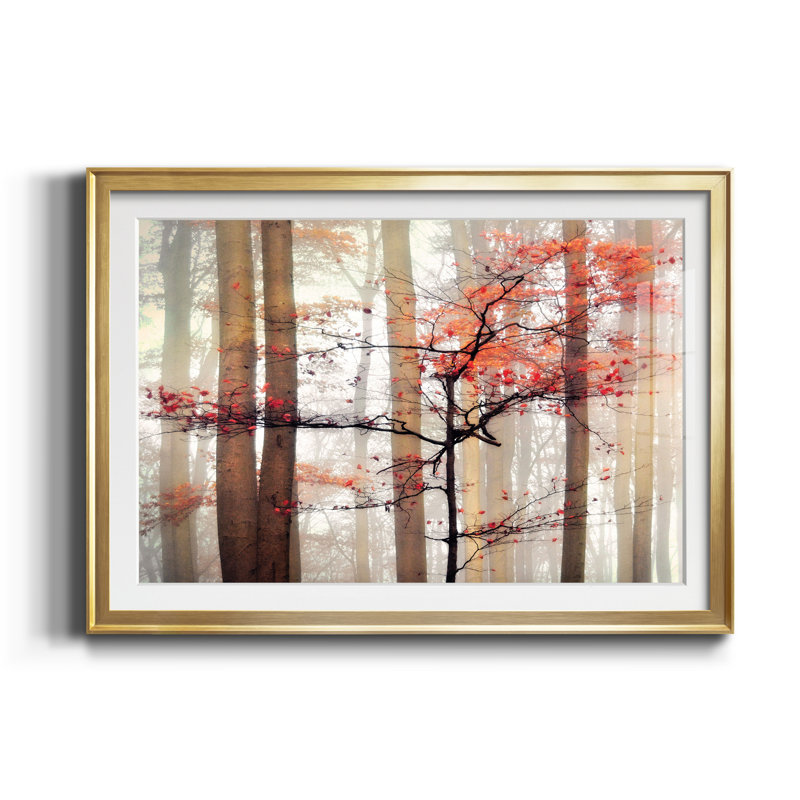 Awakening - Cadre photo, impression sur papier, H 18,5 po x l 24,5 po x P 1,5 po, Doré