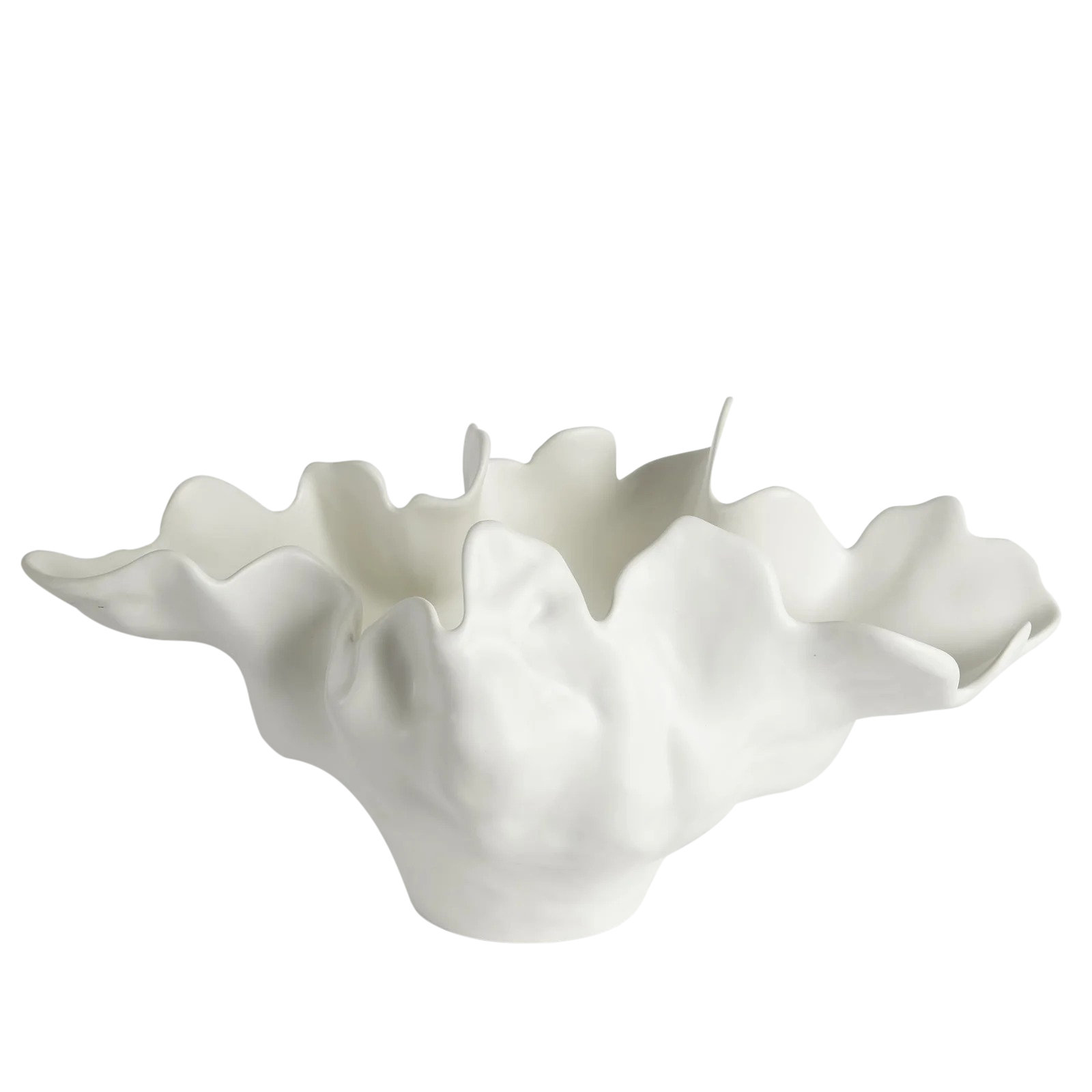 Global Views Meteor Bowl-Ivory & Reviews | Wayfair