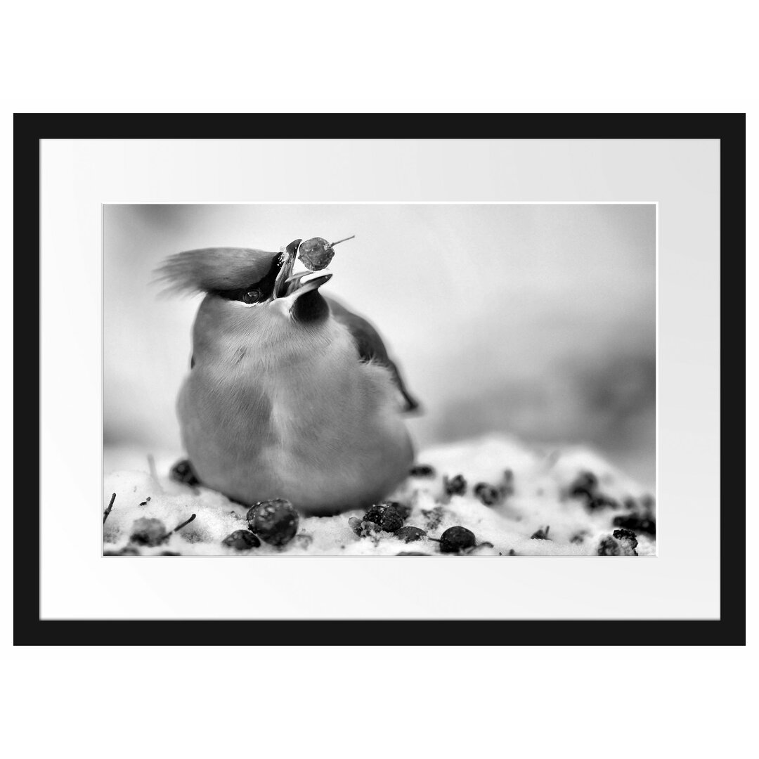 Gerahmtes Poster Kleiner Vogel im Schnee