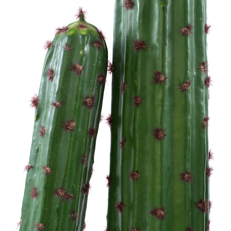 Fake Flowers on Cacti – What a Con. Buyer BEWARE!!! – Piglet in