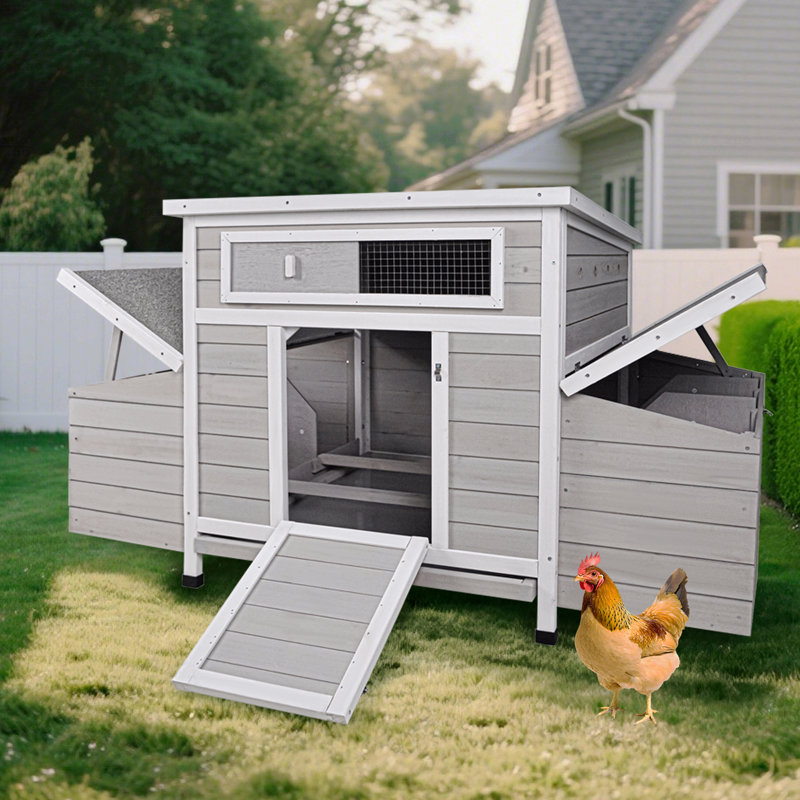Grande cage à poules en bois pour poulailler avec 2 côtés