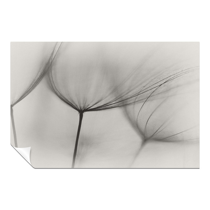 Salsify Flowers - No Frame Print, 31cm H x 20cm W