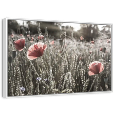 Poppy Impression Vintage Color Pop