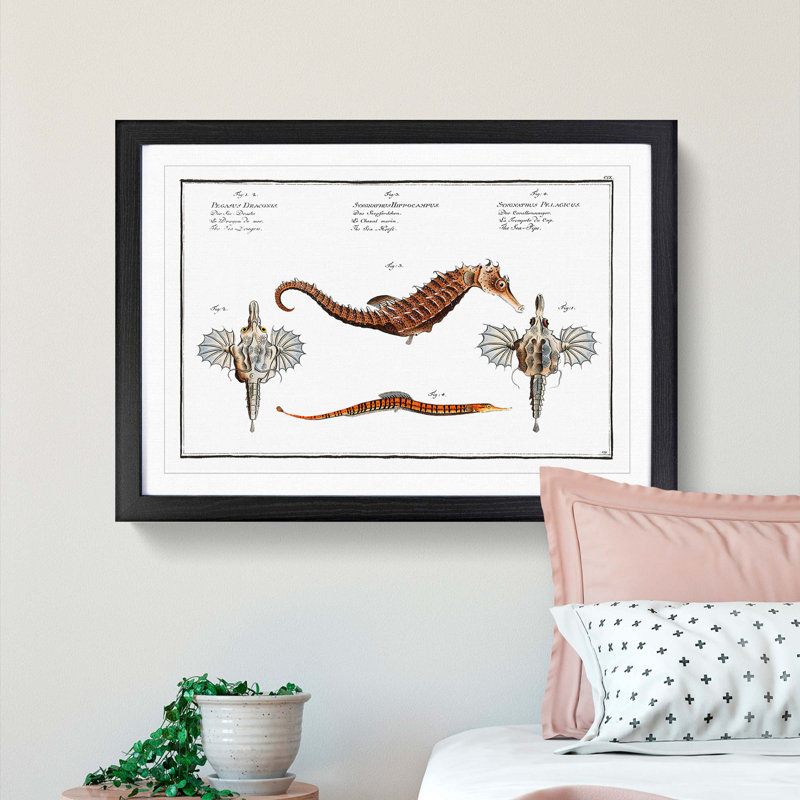 Seahorse & Sea Dragon by M.E. Bloch - Picture Frame Painting Print, 36cm H x 48cm W x 2cm D, Black Framed