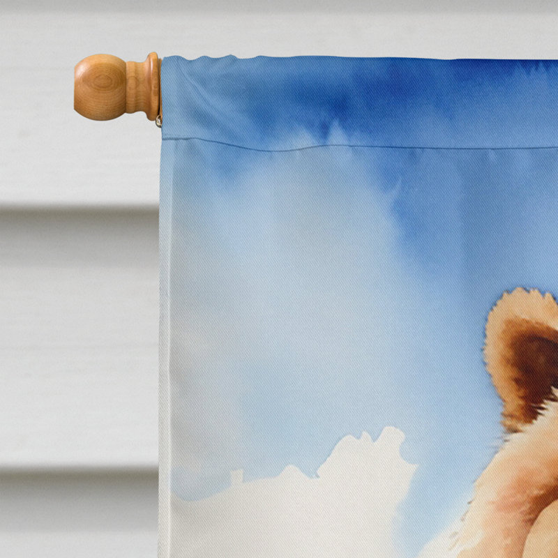 Drapeau Cowboy Welcome House, Chow-chow