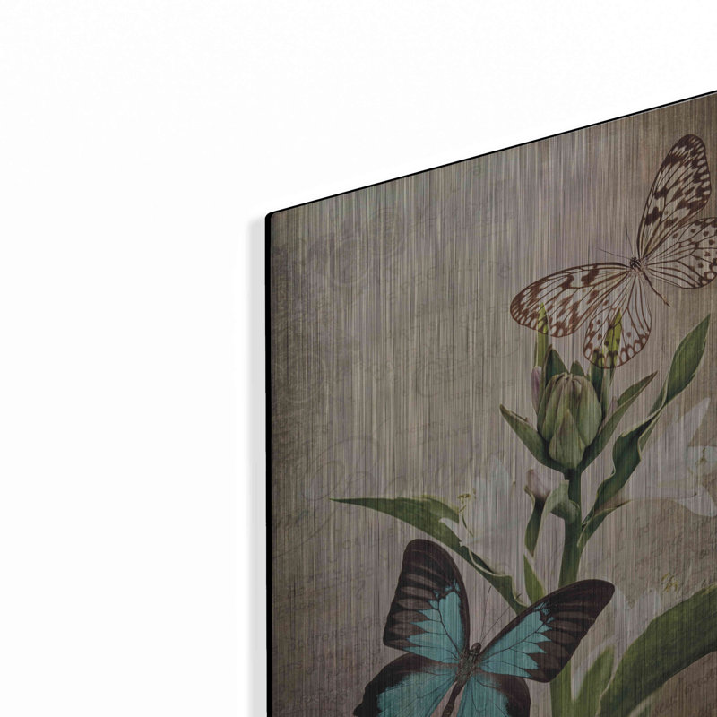 «Butterfly Botanical II» par Debra Van Swearingen, H 16 po x l 12 po