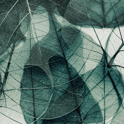 «Ingrid Beddoes Olive Green» par Ingrid Beddoes - impression sur toile tendue