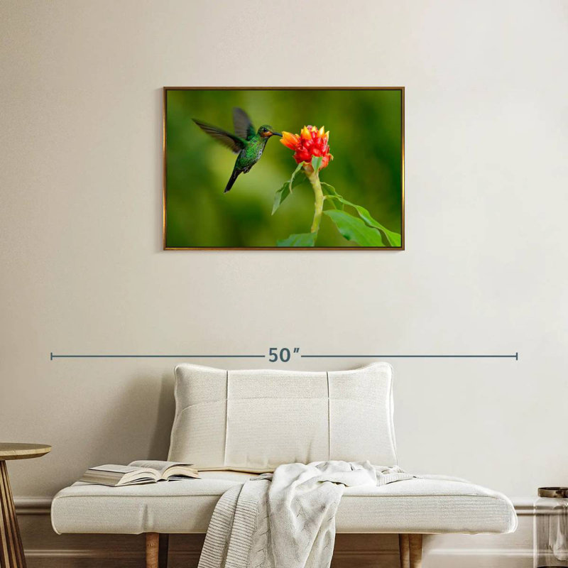 Flower And Green Hummingbird, 31" X 21", Floating Frame Gold