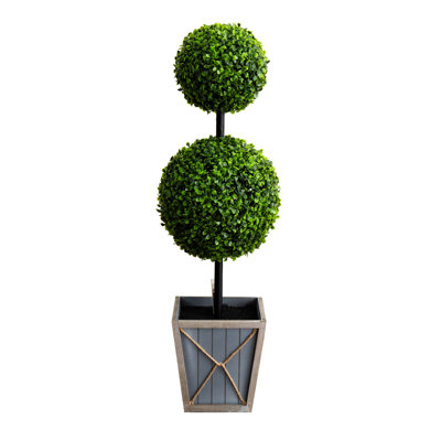 36 plantes
