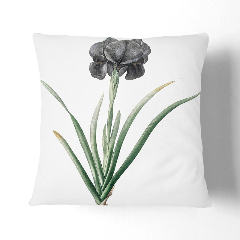Mourning Iris Flower by Pierre-Joseph Redoute Cushion with Filling, 55cm H x 55cm W x 20cm D, Black