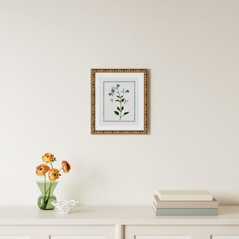Colombe Shabby Elegance Botanical II - Framed Art, Gold Bead Framed, 14" W x 16" H
