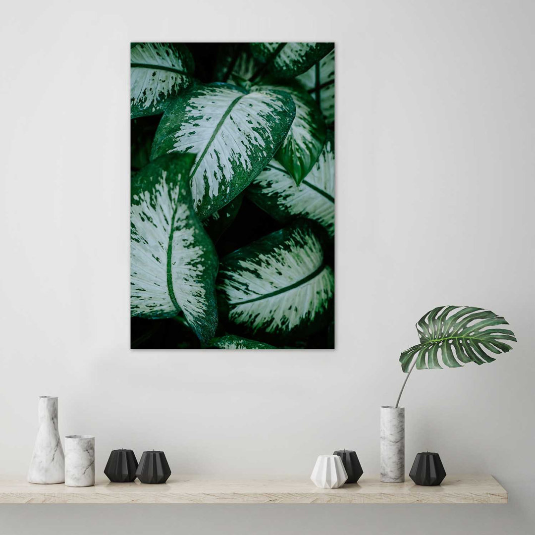 Fotodruck Green Tropical Plants