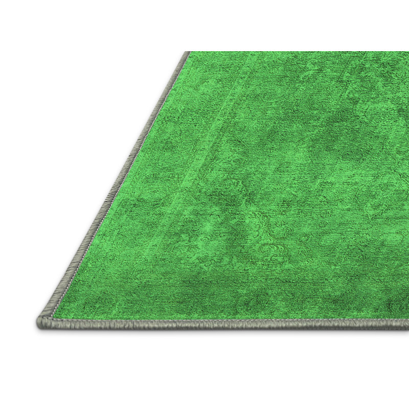 Erikc Washable Oriental Indoor Rug, Runner 2' x 5'