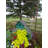 Bird in Hand Bucks County 8 in x 9 in x 8 in Birdhouse