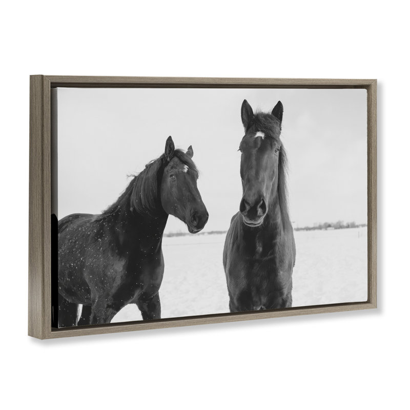Cadre flottant Draisma Hirdes Winter Horses, design par Amy Carroll, Cadre flottant orme Montalcino, H 21 po x l 31 po