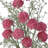 23" Plastic Wild Allium Bush-897548223