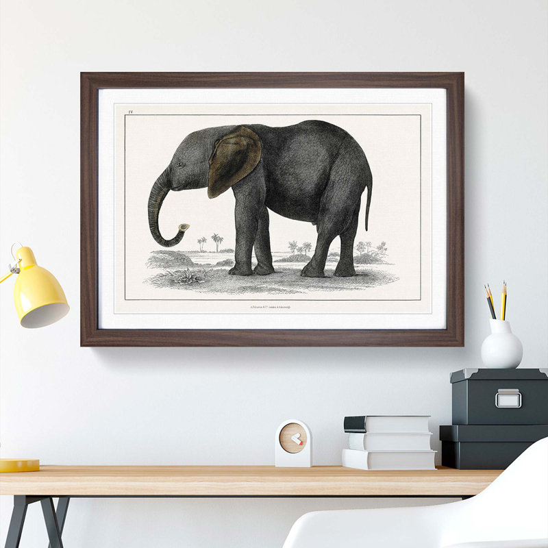 Elephant by Oliver Goldsmith - Picture Frame Painting Print, 27cm H x 36cm W x 2cm D, Walnut Framed
