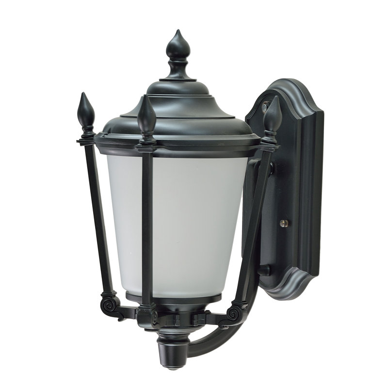 Wall Light, Medium