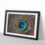 Peacock Feather - Picture Frame Graphic Art-62760453-62760452
