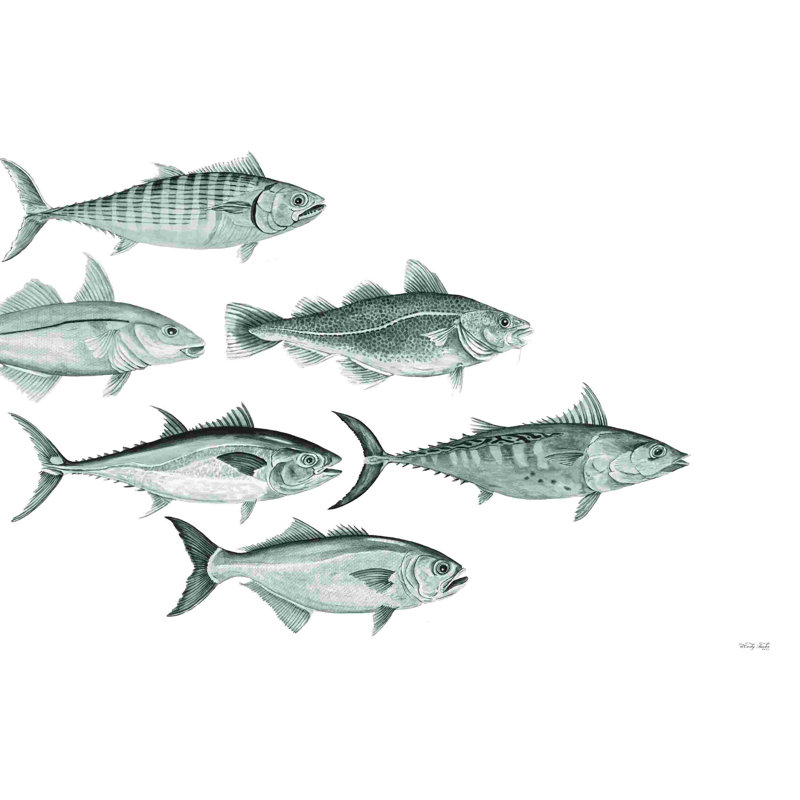 Variété de poisson I 2886532, H 24 po x l 36 po