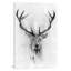 " Red Deer " by Alexis Marcou-18921894-74309528-74309529