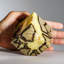 Polished Septarian Cube from Madagascar (2 Lbs)-690254744-690254743