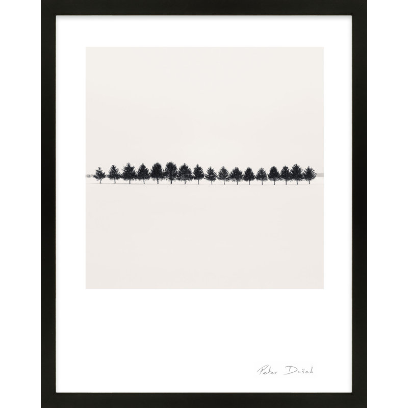 Seventeen Trees Print by Peter Dušek, 30" H x 24" W x 1.25" D, Black