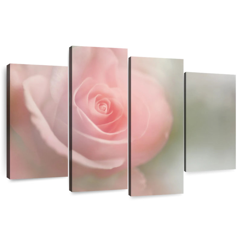 Rose tendre Harnek I, H 22 po x l 36 po