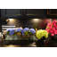 Hydrangeas and Driftwood in Vase