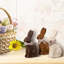 Lapin chocolat avec nœud 4 po 3