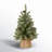 Flocked Fir Tree with LED Lights-1334224385