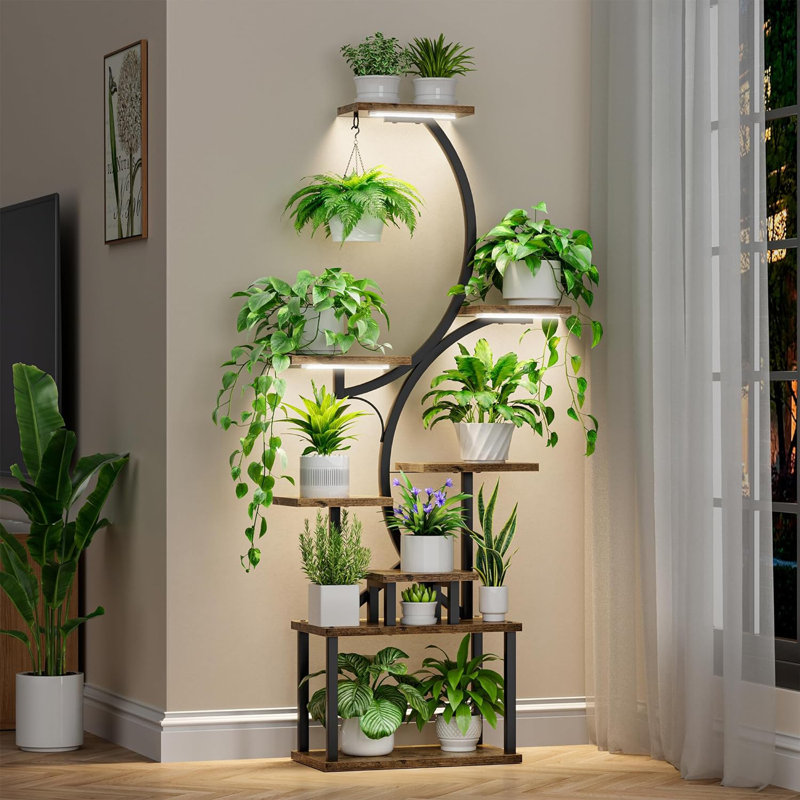 Support pour plante Irvina, Noir, noir, noir, noir