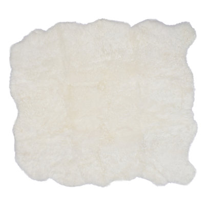 Indoor Rug
