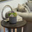 Faux Succulent Plant in Fiberstone Planter-2044098633-2044098632-2065890681