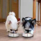 2 Cups Anti-Skid Pet Bowl