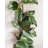 Magnolia Leaf Garland 60"