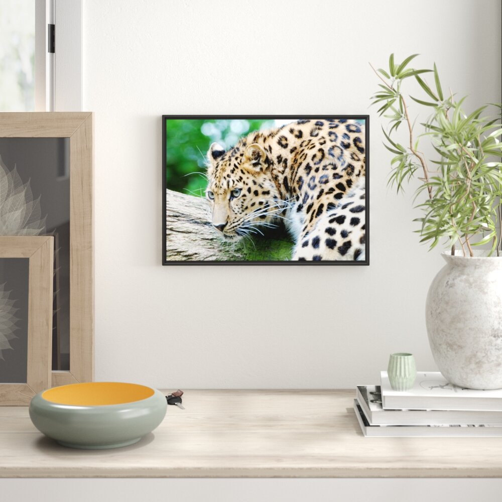 Gerahmtes Wandbild aufmerksamer Leopard auf Baumstamm