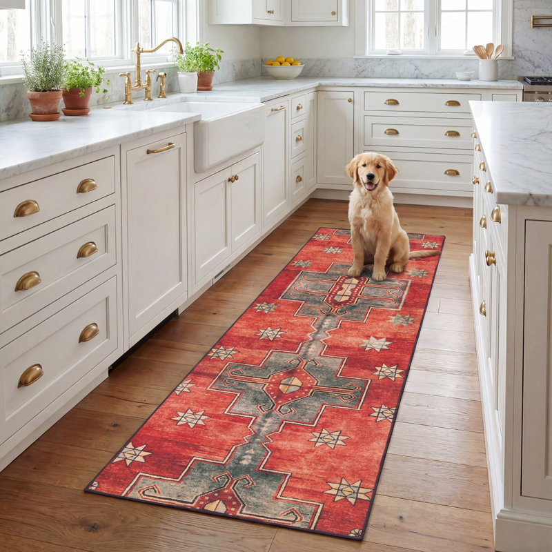 Danna Performance Rust/Green Rug, Runner 2'6" x 8'
