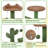 Cleobury 53'' Height Cat Cactus Tree Condo Kitten Tree Tower