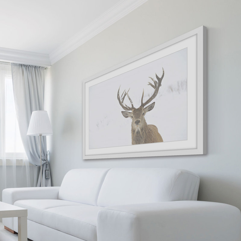 Parvez Taj - Single Picture Frame Print, 41cm H x 61cm W x 3.81cm D