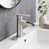 Brushed Nickel