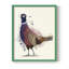 Pheasant Splash 6 Framed Print - Solid Wood-2000546194-2000546193