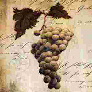 Antiqued Grapes - Wrapped Canvas Graphic Art