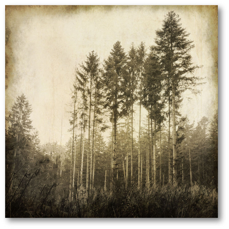 " Enchanted Forest "