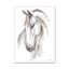 Equine Study II by Ethan Harper - Print-1984176528-1984176542