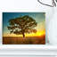 «Big Green Tree in Summer Field», reproduction de photo sur toile tendue-19409804